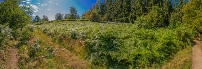 Beulotte Saint Laurent, France - 09 12 2019: Hike in the circuit of the thousand ponds