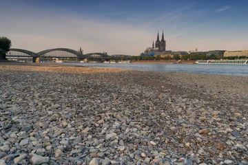 Fototapeten Drought in Germany, low water on Rhine river © alfotokunst