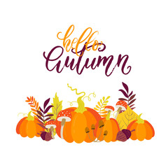 Vector Autumn greeting card with pumpkins, maple leaves