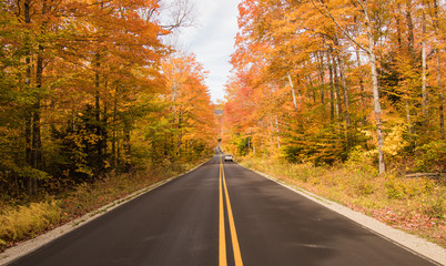 Autumn roads with amazing colors on both sides