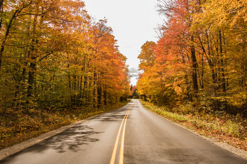 Naklejka na ściany i meble Autumn roads with amazing colors on both sides