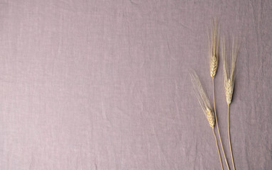 Wheat Stalks on Mauve Pink Linen with Extra Space for Text