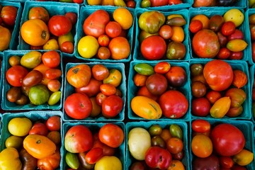 tomatoes at the market