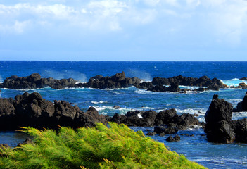 Blue Horizon at Laupahoehoe