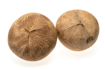 coconuts on bright litter on white background