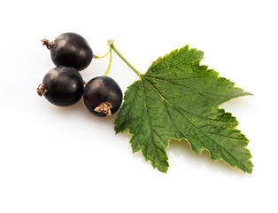 Black currant isolated on white background