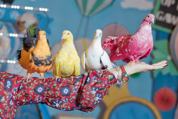 a dove on his hand . holding a red , white, orange, yellow dove in his hand.
