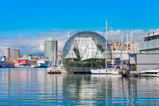 Genoa Aquarium, Largest In Italy