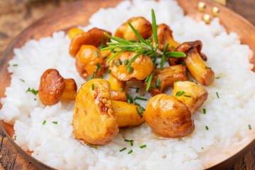 italian risotto with chanterelles on wood