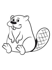 Biber süss lieb niedlich baby kind Holz Damm Wasser Wald Tier Nagetier schwimmen Bach Fluss Fell einfarbig