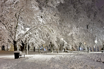 Park in winter at night