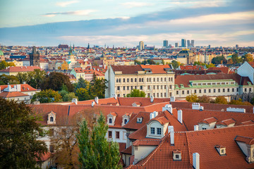 Aerial view of Prague city with red roofs and cathedral in sunset time, Prague, Czech Republic