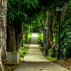 long alley in the park