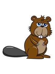 Biber süss lieb Holz Damm Wasser Wald Tier Nagetier schwimmen Bach Fluss Fell mehrfarbig