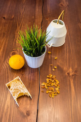 honey in combs next to raisins with green grass leaves on a wooden background