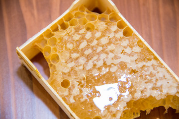 honey in honeycomb on wooden background