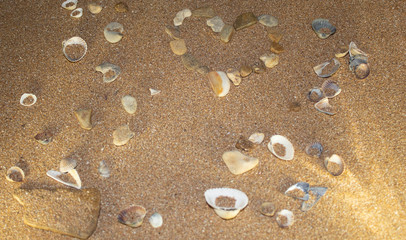 Heart on the sea sand with shells