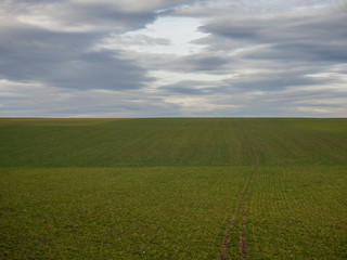 Fototapeta premium Landscape cloudy sky and agriculture field