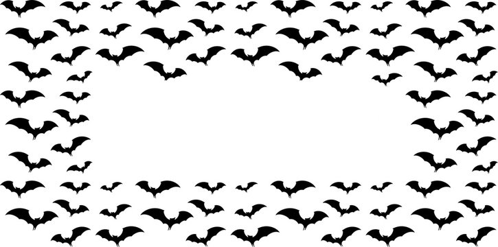 black silhouette of bats, frame for halloween party invitation
