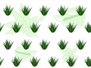 Seamless pattern with tropical, succulent plants, aloe vera. Floral isolated vector illustration on a white background.
