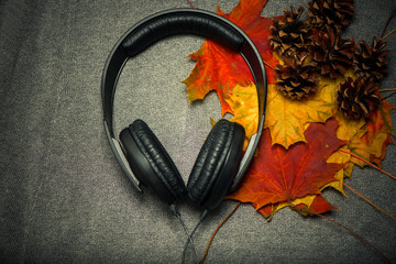 earphones with colorful maple leafs inside on rough fabric texture