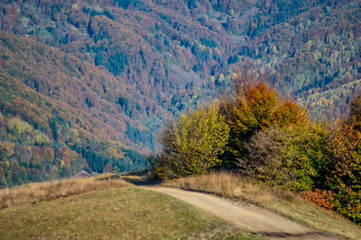 Fototapeta na wymiar Dirt road in the mountains in autumn