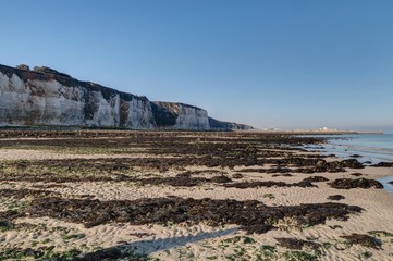 Falaises blanches de Normandie