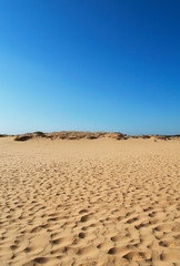 Oleshky Sands on a blue sky in the Kherson region in Ukraine, the largest desert in Europe