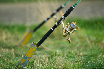 Golden fishing rod and reel