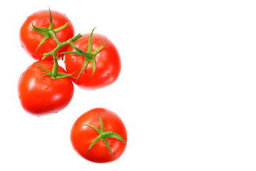 fresh tomatoes isolated on white background. top view