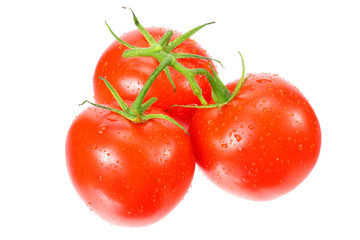 branch of fresh tomatoes isolated on white background