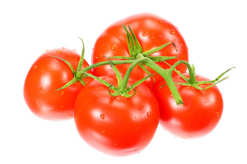 branch of fresh tomatoes isolated on white background