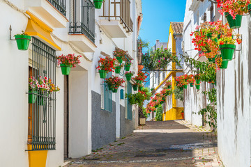 The beautiful Estepona, little and flowery town in the province of Malaga, Spain. - obrazy, fototapety, plakaty