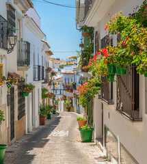 Fototapeta na wymiar The beautiful Estepona, little and flowery town in the province of Malaga, Spain.