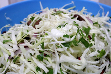 Fresh coleslaw salad. Salad from cabbage with onion, beans and pomegranate Selective focus