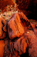 Arizona Red Rock