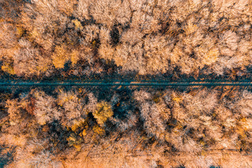 Aerial view from drone top view. Aerial view amazing over  railway with colorful autumn trees and fields along. Beautiful fall nature travel background.