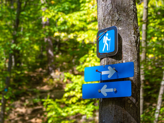 Arrow Markers on a Trail Point Directions
