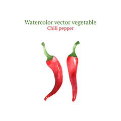 Watercolor vector chili pepper