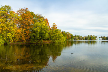 Autumn Park in Pushkin. Large pond. Saint-Petersburg. Morning.