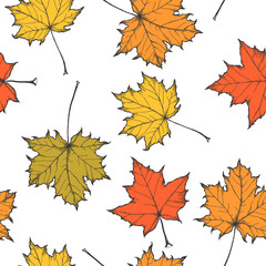 Vector seamless pattern with fallen maple leaves isolated on white. Hand drawn botanical texture with natural elements in autumn season