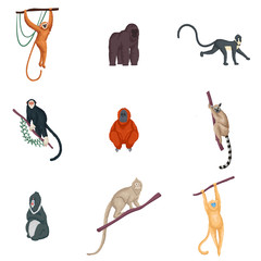 A set of different species of monkeys in different actions. Vector illustration in flat cartoon style. © greenpicstudio