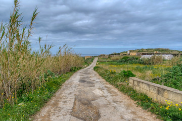 Fototapeta na wymiar Country Road in Gozo island, Malta