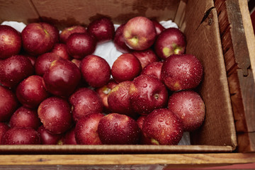 Wooden crate filled with red apples at a market in the New England town of Bennington, Vermont.  Malus domestica