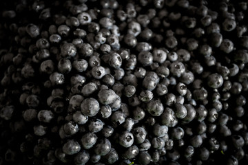 Fresh Bilberries. Texture blueberry berries close up