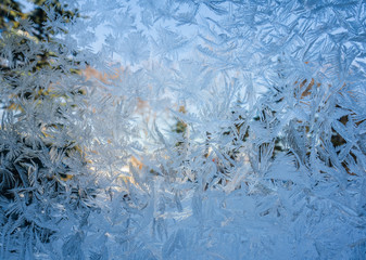  Frost on Window