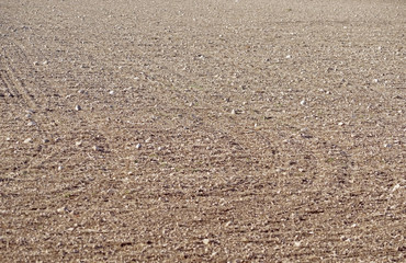 Plowed field as background