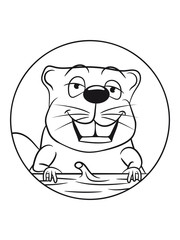 Biber lustig witzig baum niedlich Holz Damm Wasser Wald Tier Nagetier schwimmen rund Bach Fluss Fell einfarbig