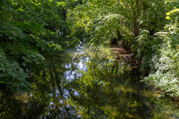 Fototapeta na wymiar Sky and foliage reflecting on water,