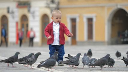 Little kid among pigeons on the street